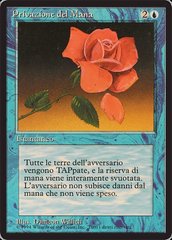 Mana Short - Italian