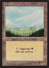 Plains (Trees) - Italian