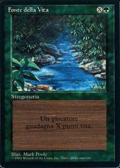 Stream of Life - Italian
