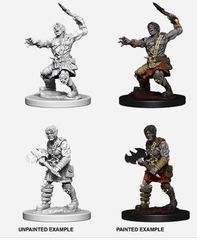 D&D Nolzur's Marvelous Miniatures: Nameless One