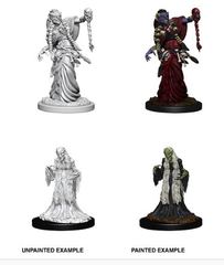 D&D Nolzur's Marvelous Miniatures: Green Hag & Night Hag