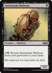 Sanitarium Skeleton