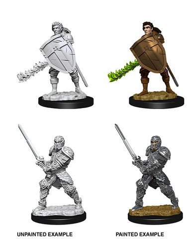 D&D Nolzurs Marvelous Miniatures: Male Human Fighter