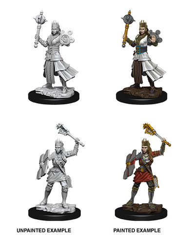 D&D Nolzurs Marvelous Miniatures: Female Human Cleric