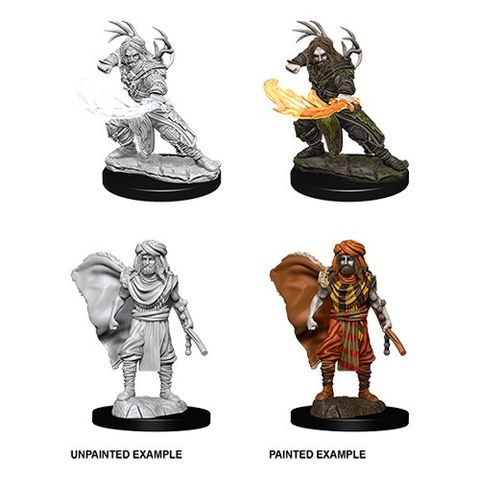 D&D Nolzurs Marvelous Miniatures: Male Human Druid