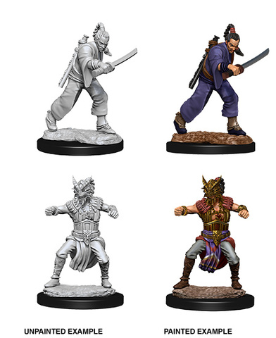 D&D Nolzurs Marvelous Miniatures: Male Human Monk