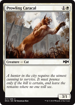 Prowling Caracal - Foil