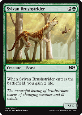 Sylvan Brushstrider