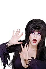 Elvira Shape Of Elvira #4 40 Copy Photo Virgin Incv (Net)