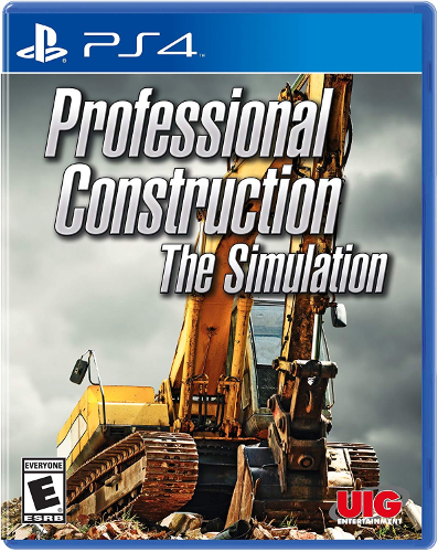 Professional Construction The Simulation