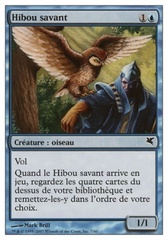 Búho sabio Sage Owl (7)