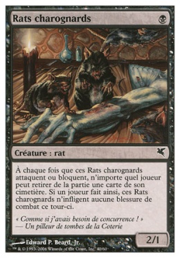 Ratas carroñeras Carrion Rats (41)