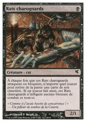 Ratas carroñeras Carrion Rats (41)