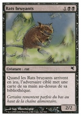 Ratas gorjeantes Chittering Rats (54)