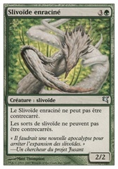Fragmentado de raíces Root Sliver (14)