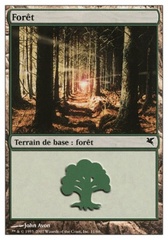 Bosque Forest (48)