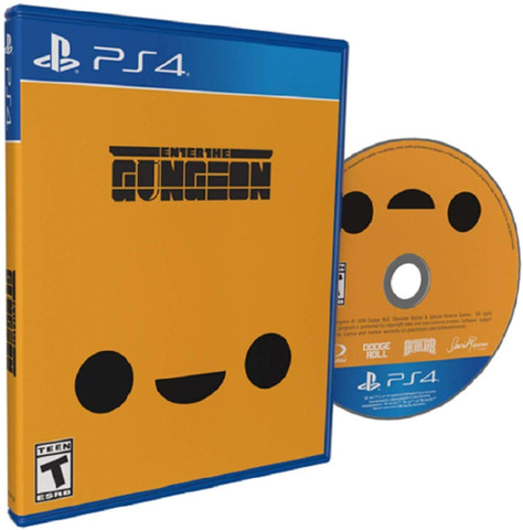 Enter the Gungeon