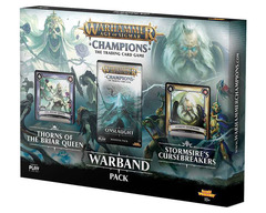 Warhammer Age of Sigmar: Champions Warband Collector Pack