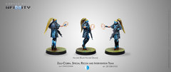 (1208) Zulu-Cobra, Special Recon and Intervention Team (Hacker) (281208-0763)