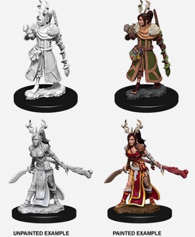 D&D Nolzurs Marvelous Miniatures: Female Human Druid