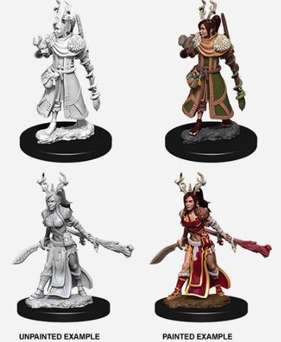 D&D Nolzurs Marvelous Miniatures: Female Human Druid