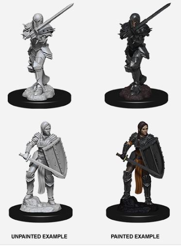 D&D Nolzurs Marvelous Miniatures: Female Human Fighter