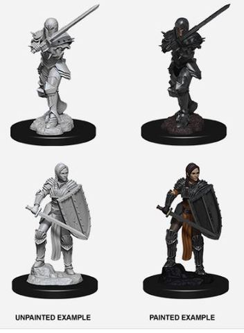 D&D Nolzurs Marvelous Miniatures: Female Human Fighter