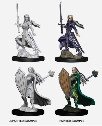 D&D Nolzurs Marvelous Miniatures: Female Elf Paladin
