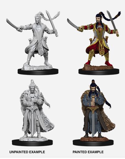 D&D Nolzurs Marvelous Miniatures: Male Half-Elf Paladin