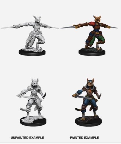Female Tabaxi Rogue