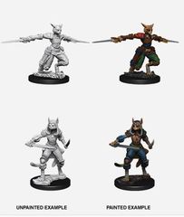 D&D Nolzur's Marvelous Miniatures: Female Tabaxi Rogue