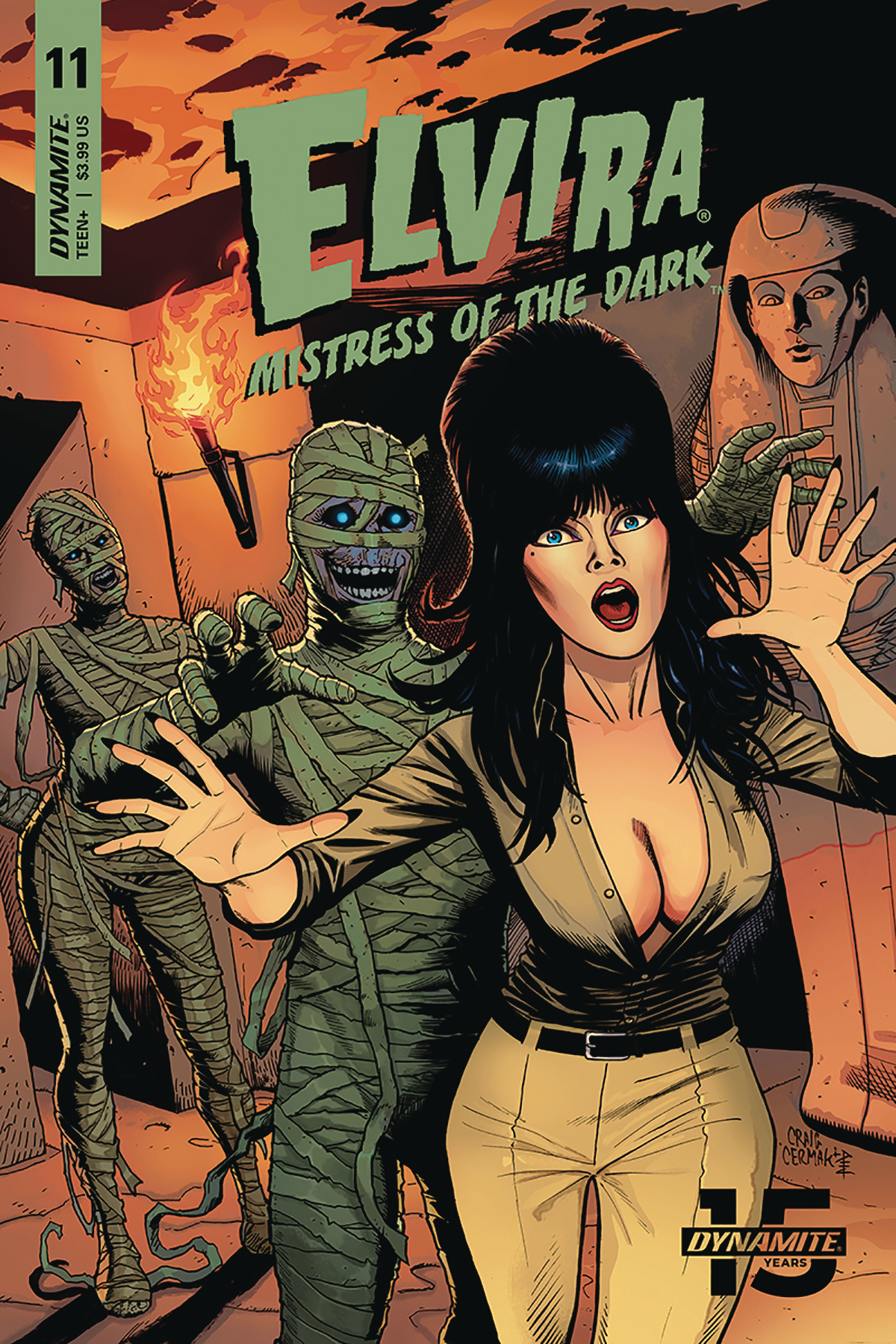 Elvira Mistress Of Dark #11 Cvr B Cermak (STL120863)
