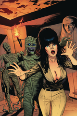 Elvira Mistress Of Dark #11 10 Copy Cermak Virgin Incv (Net) (STL120859)