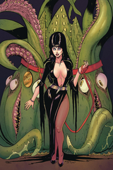 Elvira Mistress Of Dark #11 25 Copy Seeley Virgin Incv (Net) (STL120861)