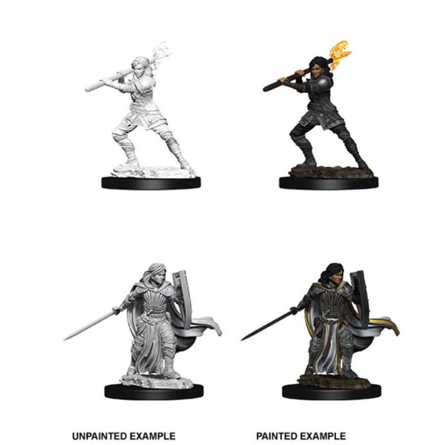 D&D Nolzurs Marvelous Miniatures: Female Human Paladin