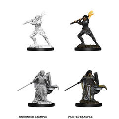 D&D Nolzur's Marvelous Miniatures: Human Female Paladin (73830)