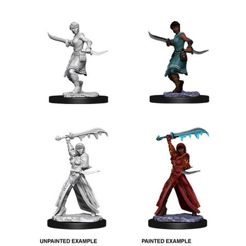 D&D Nolzurs Marvelous Miniatures: Female Human Rogue