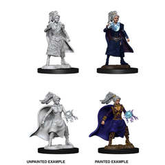 D&D Nolzur's Marvelous Miniatures: Human Sorcerer (Female) (73832)