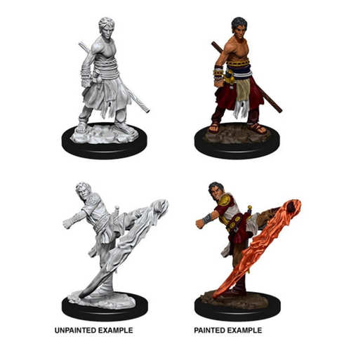D&D Nolzurs Marvelous Miniatures: Male Half-Elf Monk