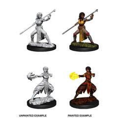 D&D Minis: Wave 10 - Female Half-Elf Monk (WZK73839)