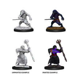 73840 Nolzur's Marvelous Miniatures - Kenku Adventurers