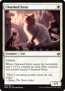 Charmed Stray