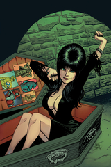 Elvira Mistress Of Dark #12 10 Copy Cermak Virgin Incv (Net) (STL123663)