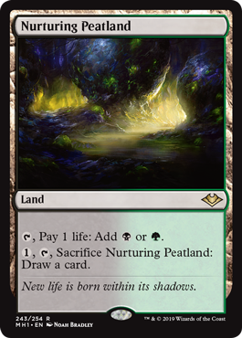 Nurturing Peatland - Foil