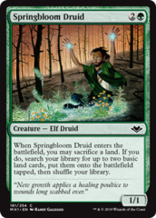 Springbloom Druid