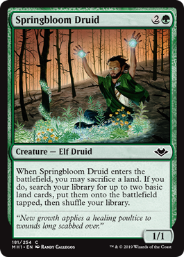 Springbloom Druid - Foil