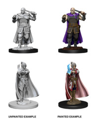 D&D Nolzur's Marvelous Miniatures: Human Ranger and Moon Elf