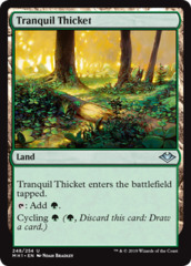 Tranquil Thicket