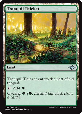 Tranquil Thicket - Foil