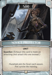 Novice Protector